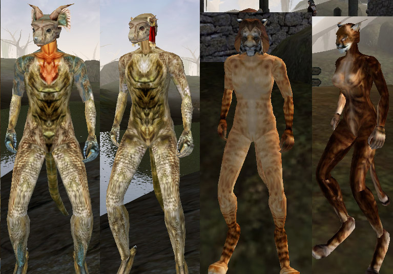 Morrowind Patch Better Bodies Omaha